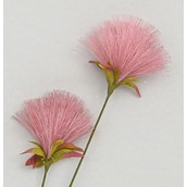 72cm PomPom Spray Pink