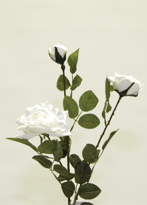 Micro Peach Rose x3 White