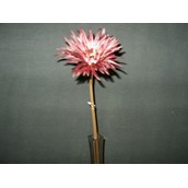 Burgundy Gerbera Daisy Spray