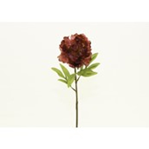 27" Peony Dk Red