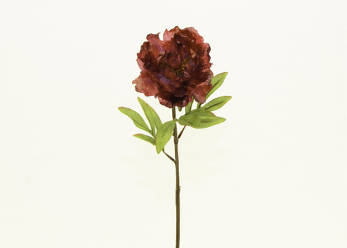 27" Peony Dk Red