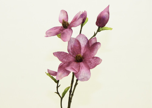 32" Magnolia Fuchsia
