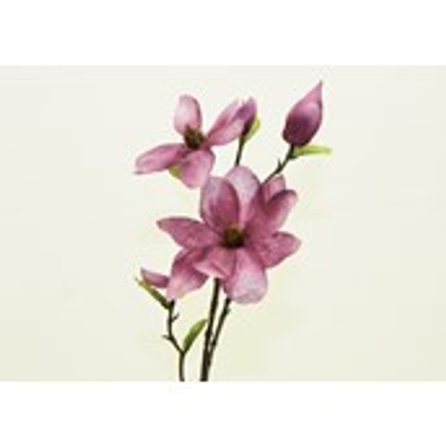 32" Magnolia Fuchsia