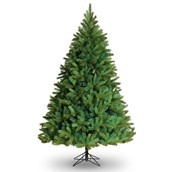 6.5'Leicester Pine Tree Green/Blue