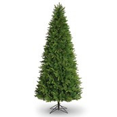 8.5' Minnesota Pine Tree