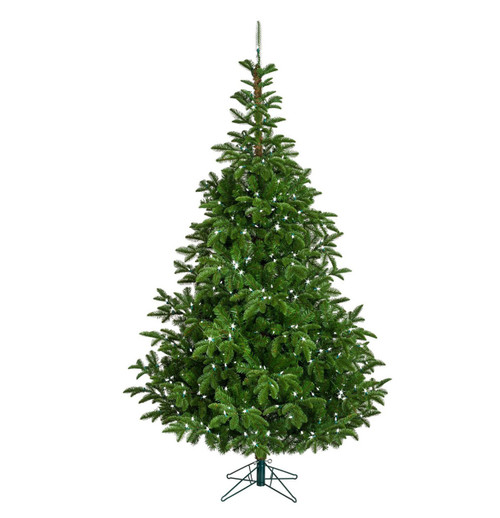 6ft Pinyon Pine - NO LIGHTS
