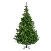 6ft Pinyon Pine - NO LIGHTS