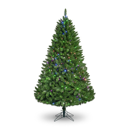 6ft Missouri Pine PL 886T 450L