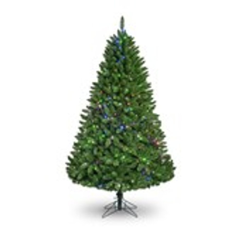 6ft Missouri Pine PL 886T 450L