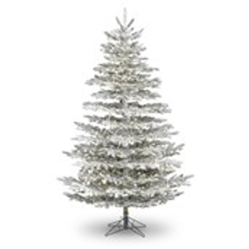 8ft Snowmass Pine Christmas Tree