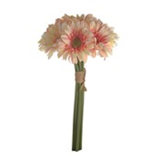 SORBET GERBERA BUNDLE X 8 PEACH
