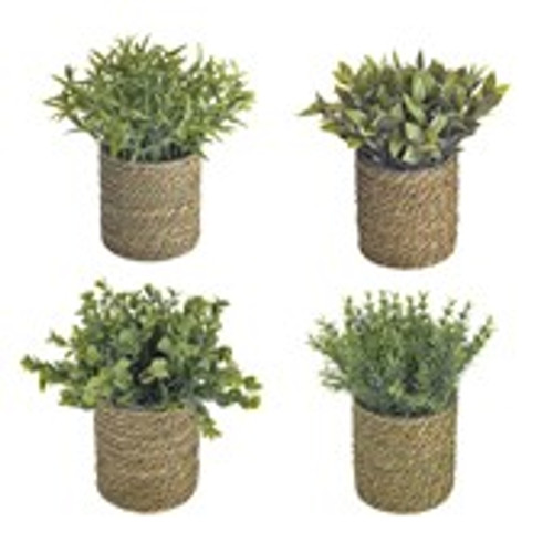 Table Top Mini Plant 4Ast