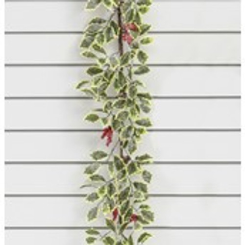 6ft Holly/Berry/Cone Garland Varie