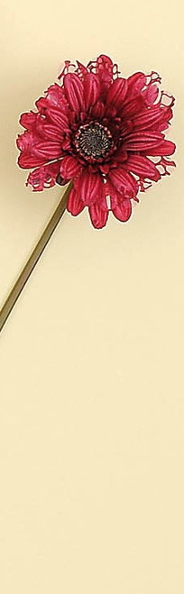 Fuchsia Gerbera Daisy