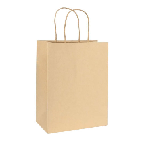 Kraft Paper Bag Brown (H23cm W18cm D10cm) - Pack of 10