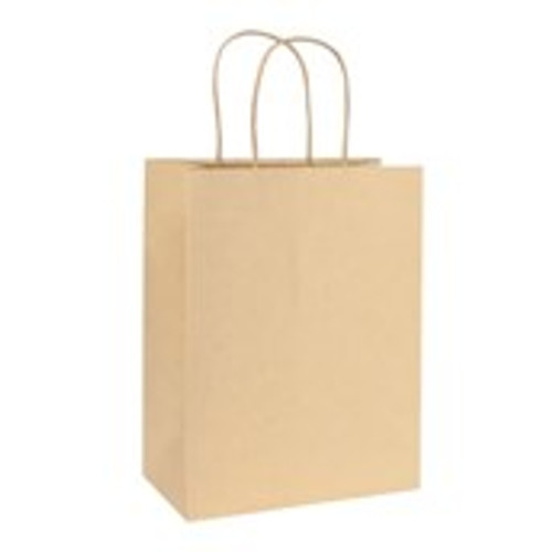 Kraft Paper Bag Brown (H23cm W18cm D10cm) - Pack of 10