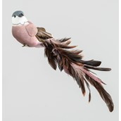 30cm Bird w/Feather/Clip Rose