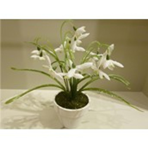 26cm Potted Frosted Snowdrop