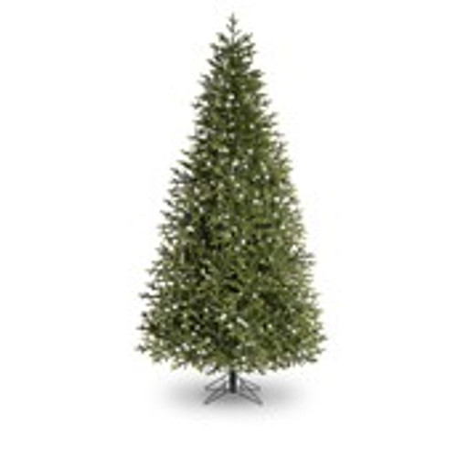 6ft St Louis Pine Tree 762T 350L