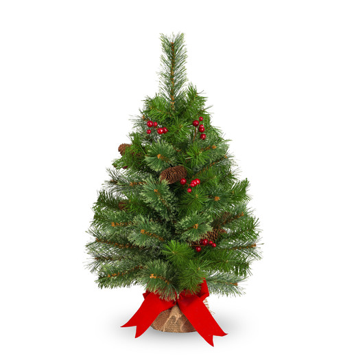 24" Tree Cone/Berry Burlap/Ribbon