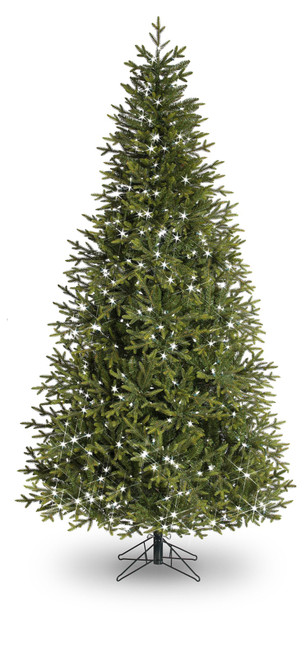 7ft St Louis Pine Tree 1082T 550L