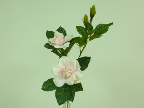 Gardenia Spray  Cream/Pink