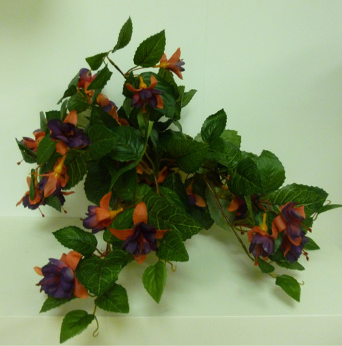 Hanging Fuchsia Bush Purple/Red