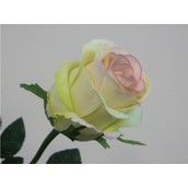 58cm Rose Bud Lt Green