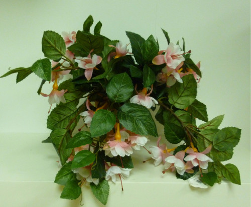 Hanging Fuchsia Bush Pink