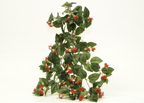 Fuchsia Hanging Bush Red/Cream