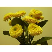 24cm Bellis Bush Yellow