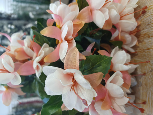 Fuchsia Bush x12 Lt Pink