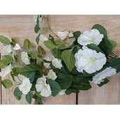 65cm Petunia Hanger Cream