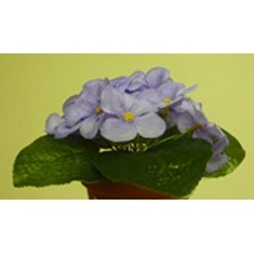 20cm Violet Bush Lavender