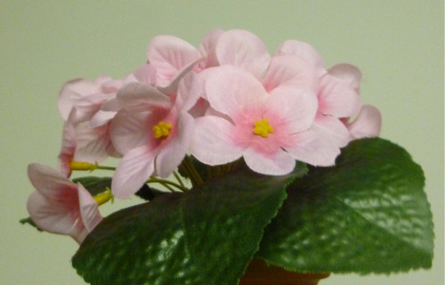 20cm Violet Bush Pink