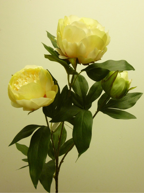 70cm Peony Spray Peach