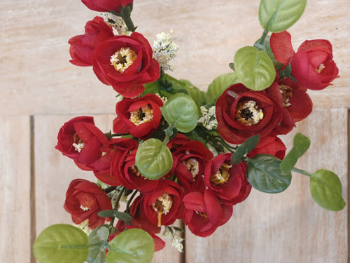 Mini Ranunculus Bush x7 Red