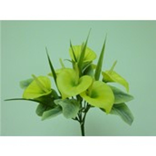 Cala Lily Bush x6 Yellow