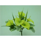 Cala Lily Bush x6 Yellow