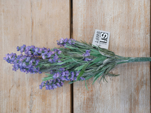 Lavender Bush x12 Purple