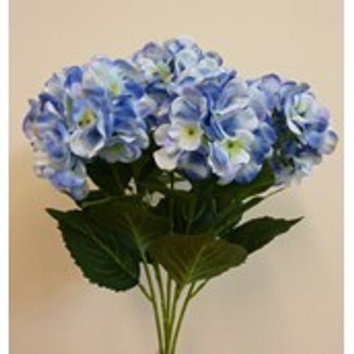 60cm hydrangea Bush x5 Lt Blue