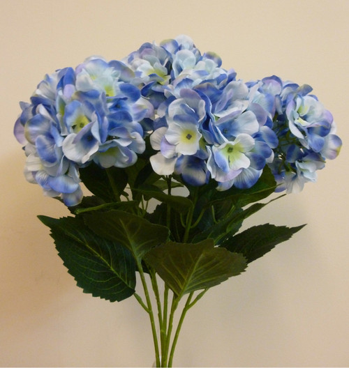 60cm hydrangea Bush x5 Lt Blue