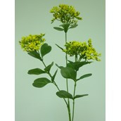 69cm Achillea Spray Yellow