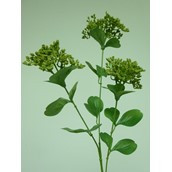 69cm Achillea Spray Lt Green