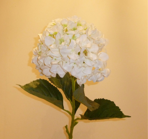 42" Cream Hydrangea