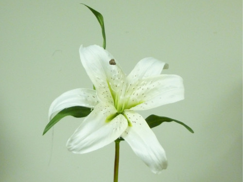 15" Casablanca Lily Cream