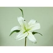 15" Casablanca Lily Cream