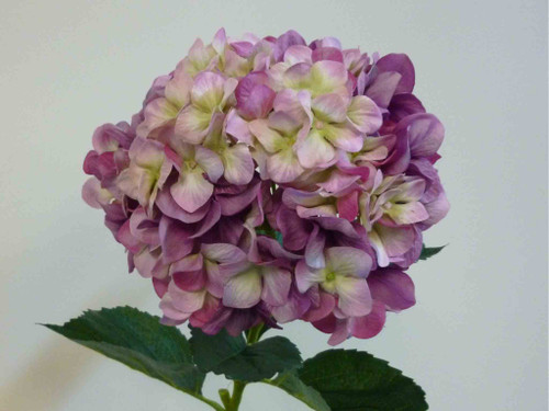 106cm Domed Hydrangea Mauve