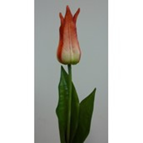 68cm Tulip Red