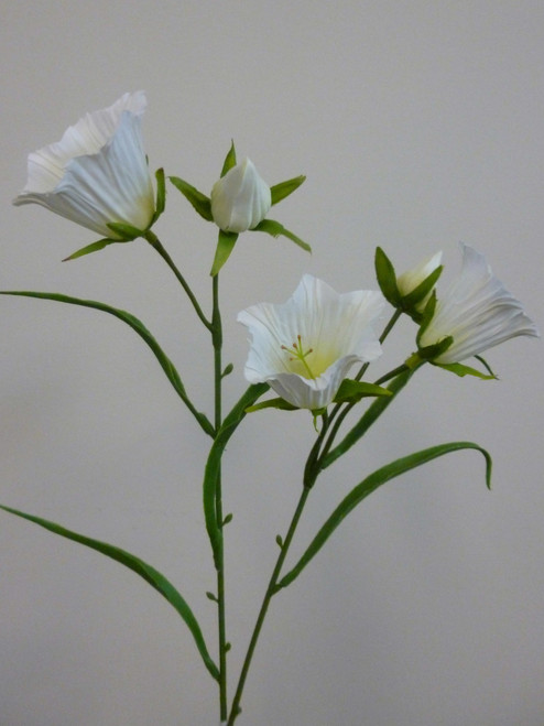 58cm Bell Flower Cream